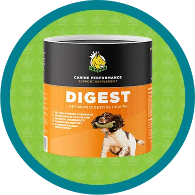 Digest digestive support supplement