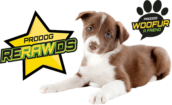 ProDog rerawds and woofur