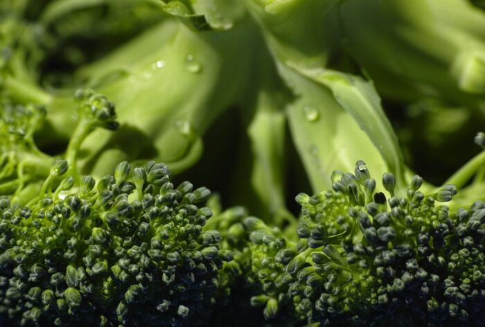 what is in raw dog food broccoli