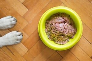 bowl of yummy grain free raw dog food