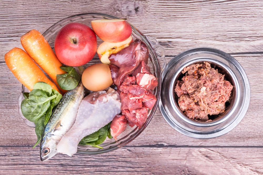raw dog food diet
