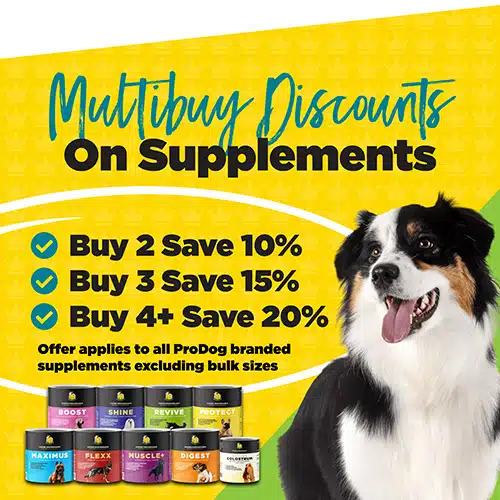 Save 20% On Supplements