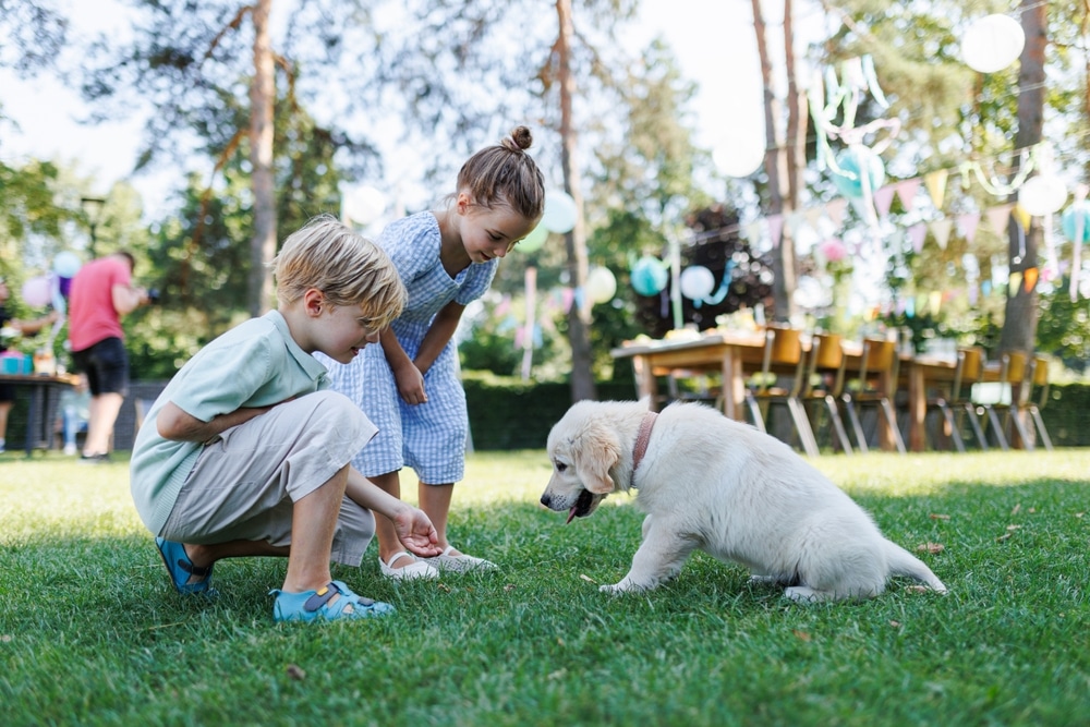 children and puppies