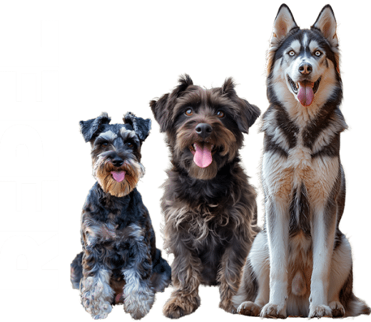 ProDog Repel Supplement - Natural Tick, Flea & Worm Prevention For Dogs, 60 Servings, Vet-Approved & Chemical-Free