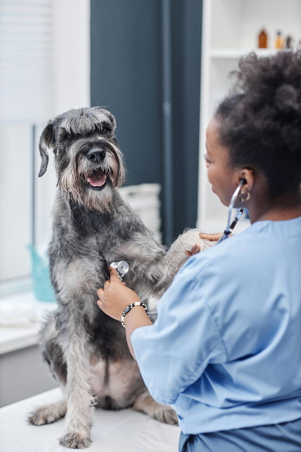 Autoimmune Disease in Dogs: A Holistic Approach to Recovery - ProDog Raw - Apples And Canine Autoimmune Disease