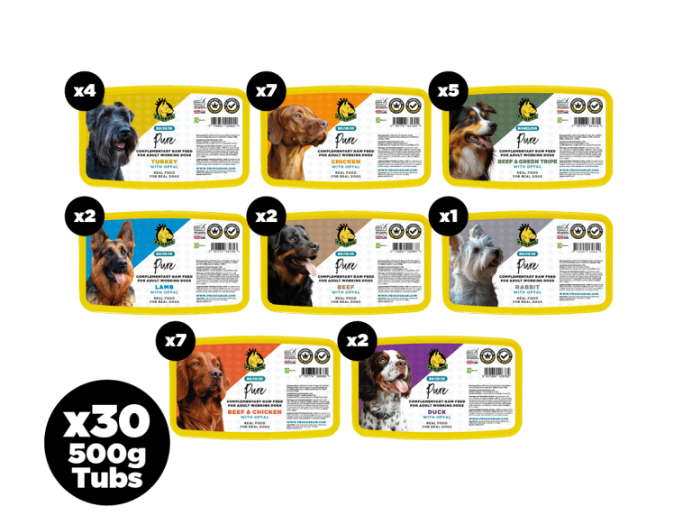 Fish Free Dog Food Bundle 801010 Meals ProDog Raw