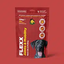Bluetick Coonhound Feeding Guide Dog Feeding Guide ProDog Raw