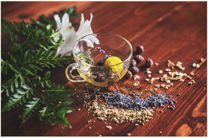 Herbs and natural ingredients to support dog skin health