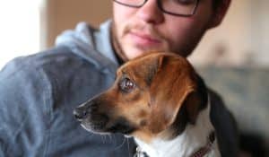 Nourishing Skin Health: A Comprehensive Approach for Pet Wellness