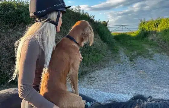 Crumpet’s Road to Recovery: Raw Feeding and Muscle+ in Action