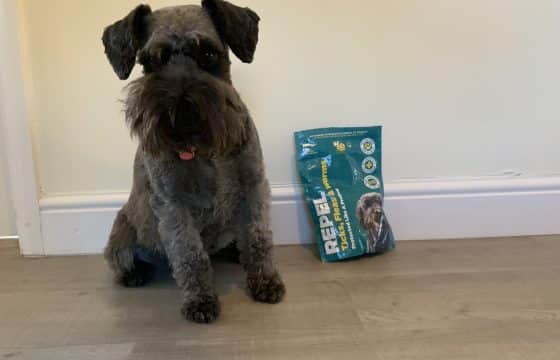How Millie Stays Parasite-Free the Natural Way