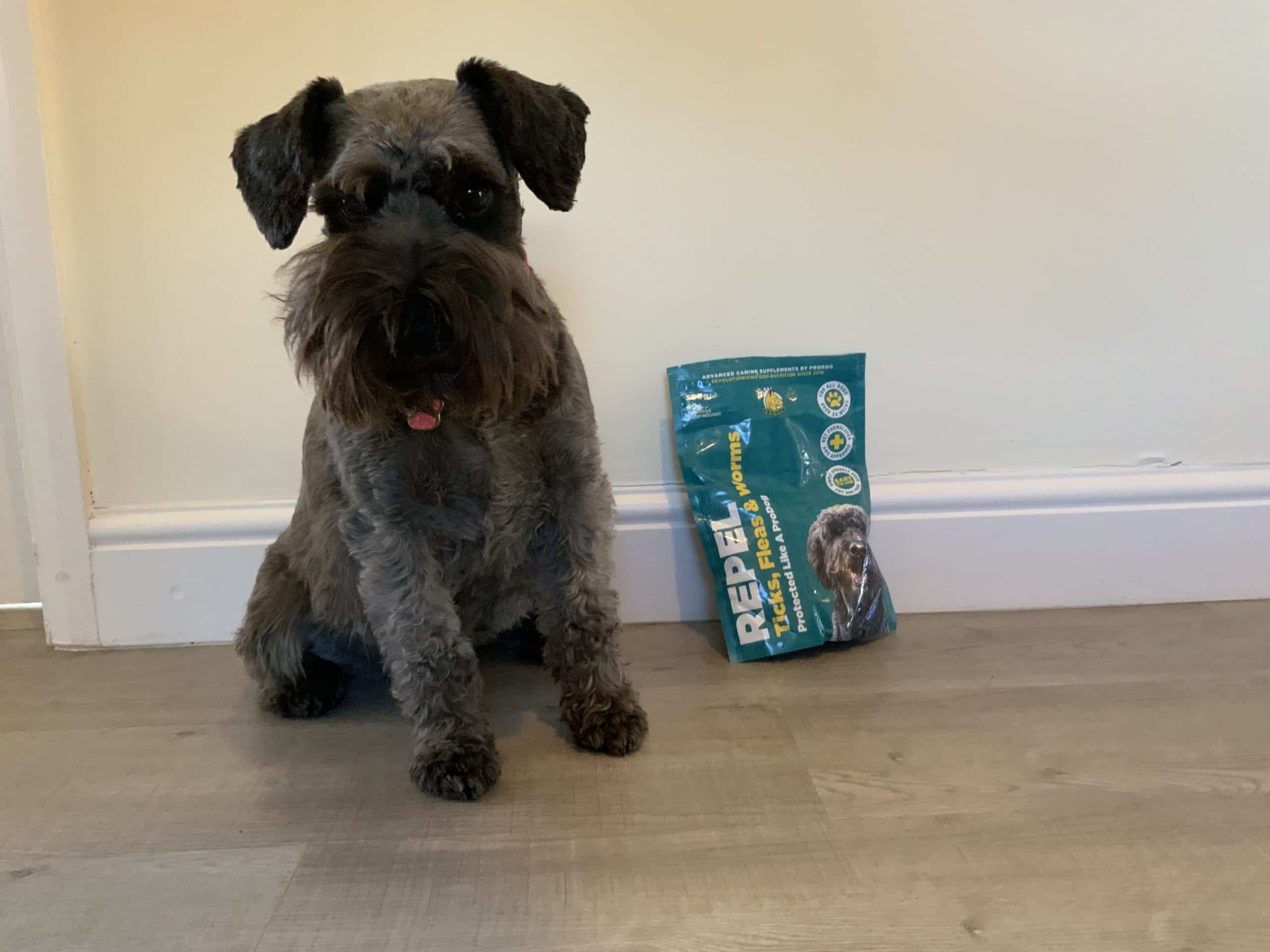 How Millie Stays Parasite-Free the Natural Way