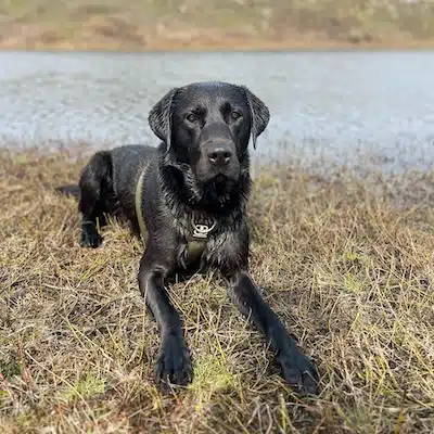 Leon’s Adventure-Ready Transformation