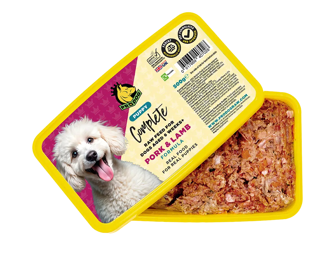 Relieve Constipation Best Food For Dog Constipation For