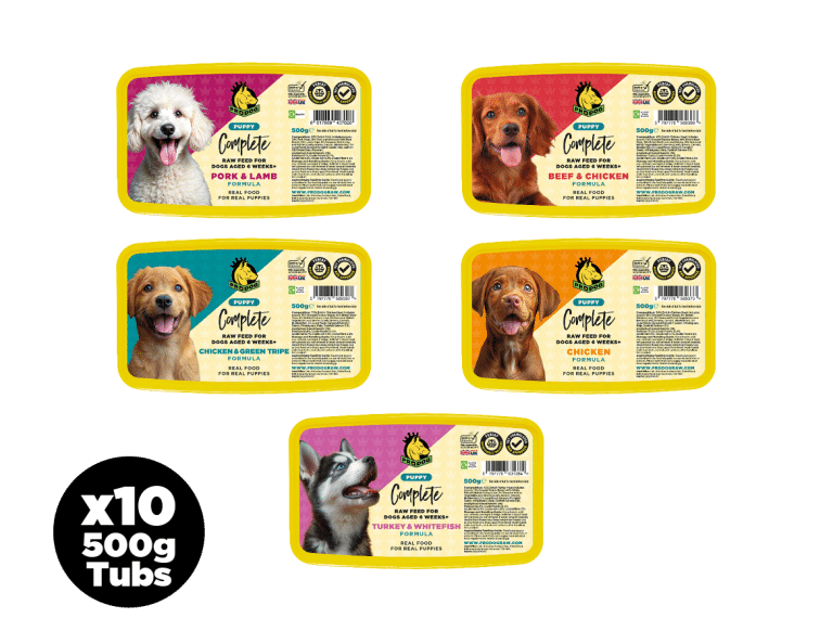 Sample Raw Food Packs for Dogs