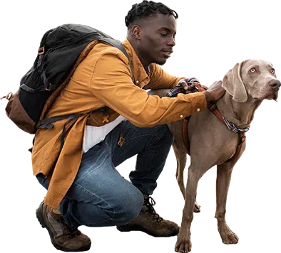Are you passionate about your dog’s health and well-being? Believe in the power of raw feeding and top-notch nutrition? Want to inspire fellow dog owners to make the switch? Then you could be the perfect fit for the ProDog Raw Ambassador family!