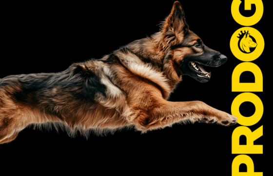 Same Standards. Sharper Look. Here’s Why We Rebranded.