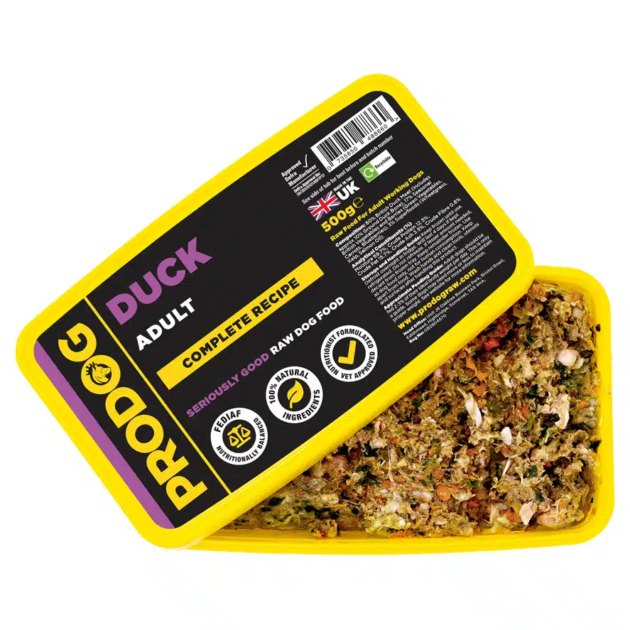 Duck