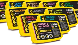 How to Defrost and Store Raw Dog Food Safely