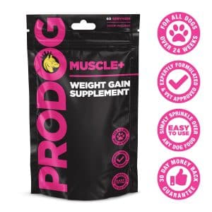 Muscle+ - 300g
