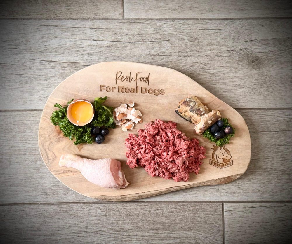 TOP 5 DOG HEALTH QUERIES ANSWERED BY A LEADING VET