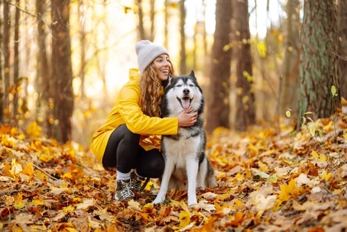 AUTUMN SAFETY TIPS EVERY DOG OWNER SHOULD KNOW