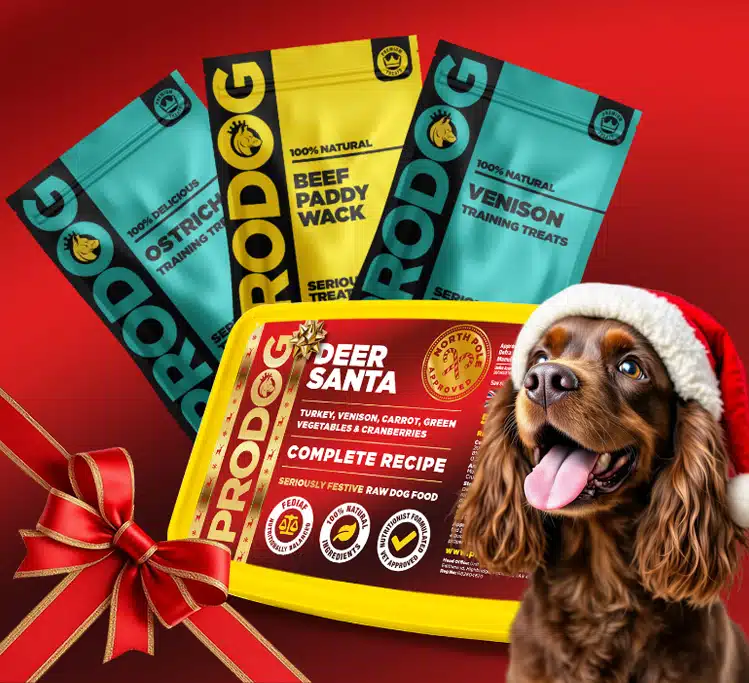 Deer Santa Has Landed!