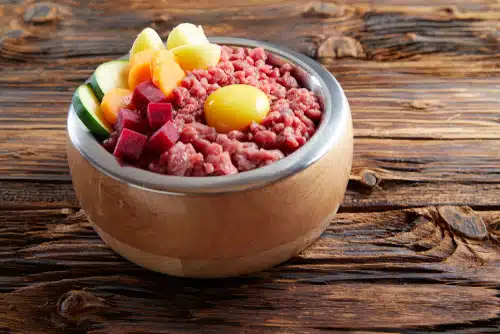 raw feeding on holiday