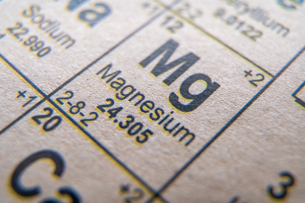 Everything You Need To Know About Magnesium For Dogs