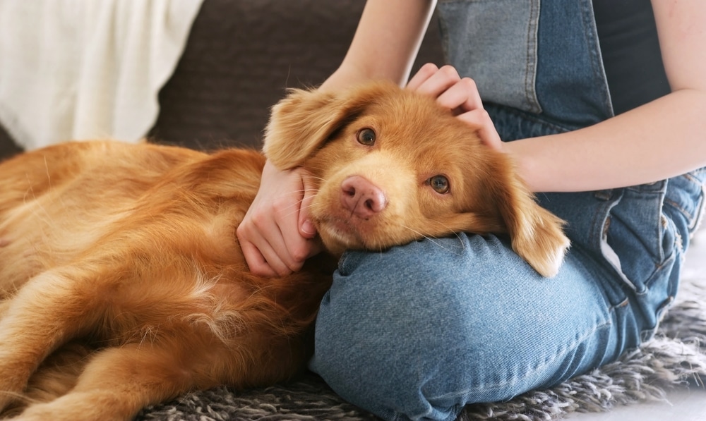 magnesium deficiency