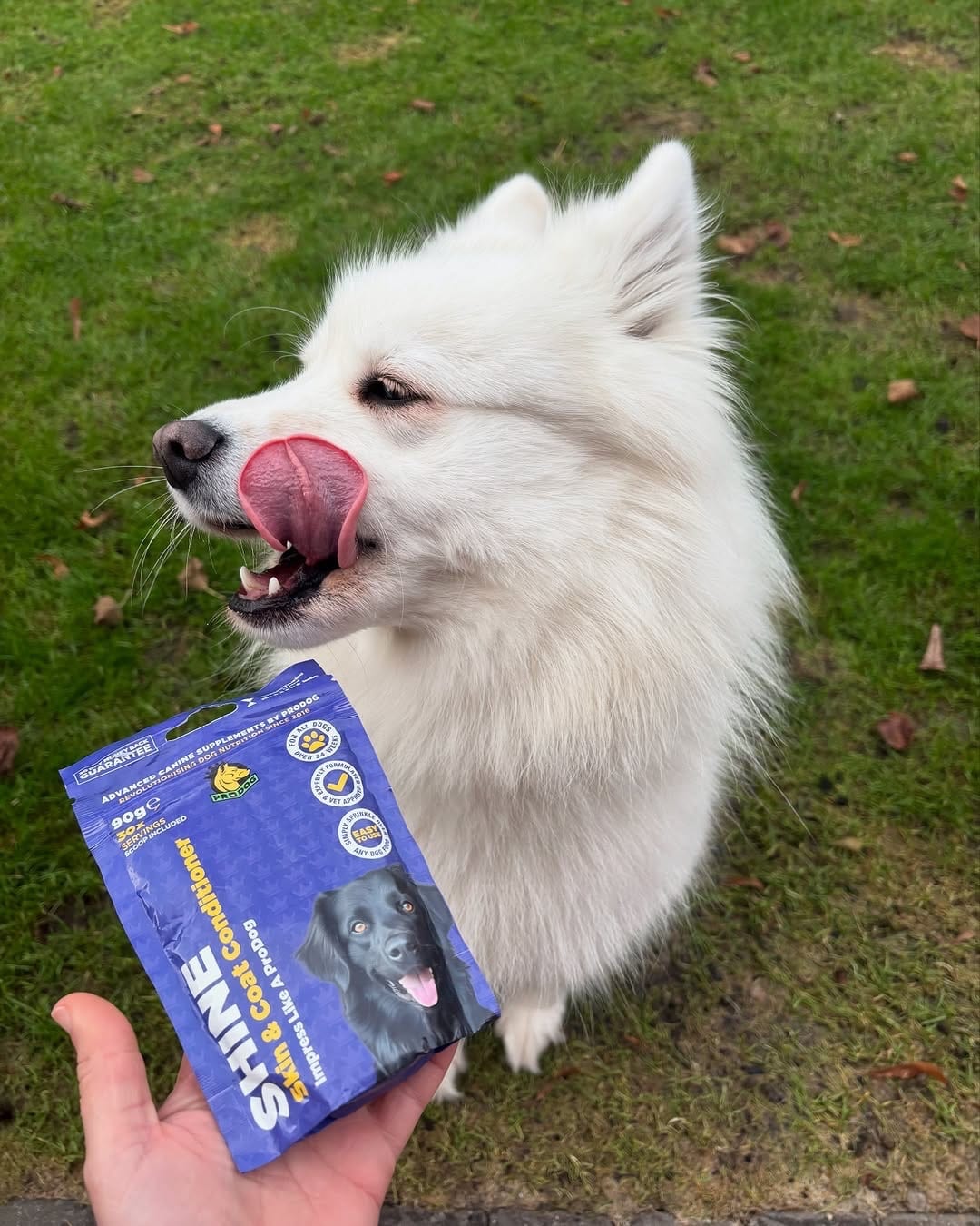 shine coat and skin supplement