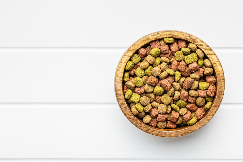 what is dry dog food?