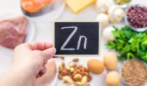 Everything You Need To Know About Zinc For Dogs