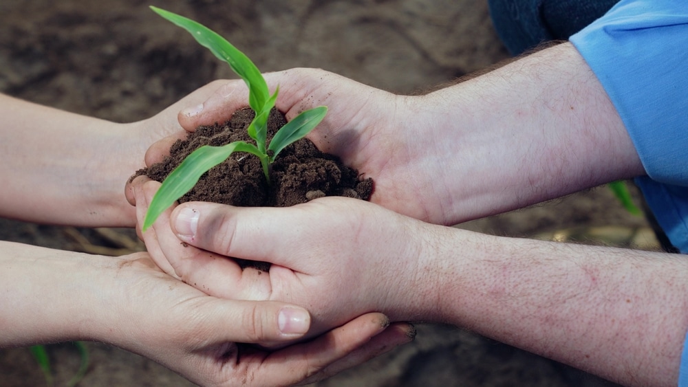 soil based probiotics