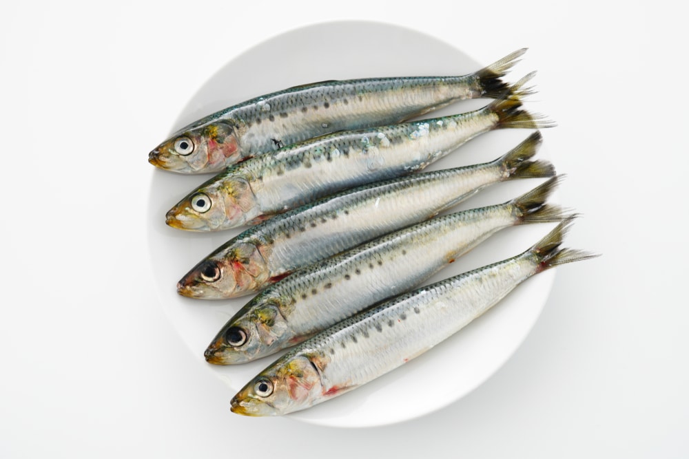 oily fish