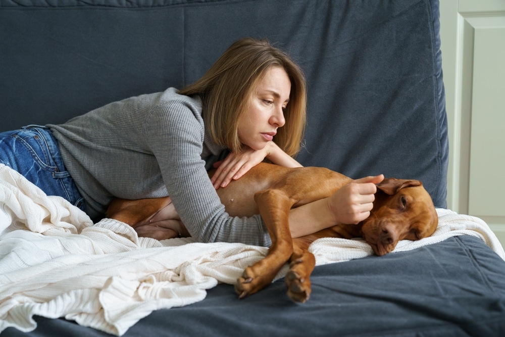 dog who is lethargic