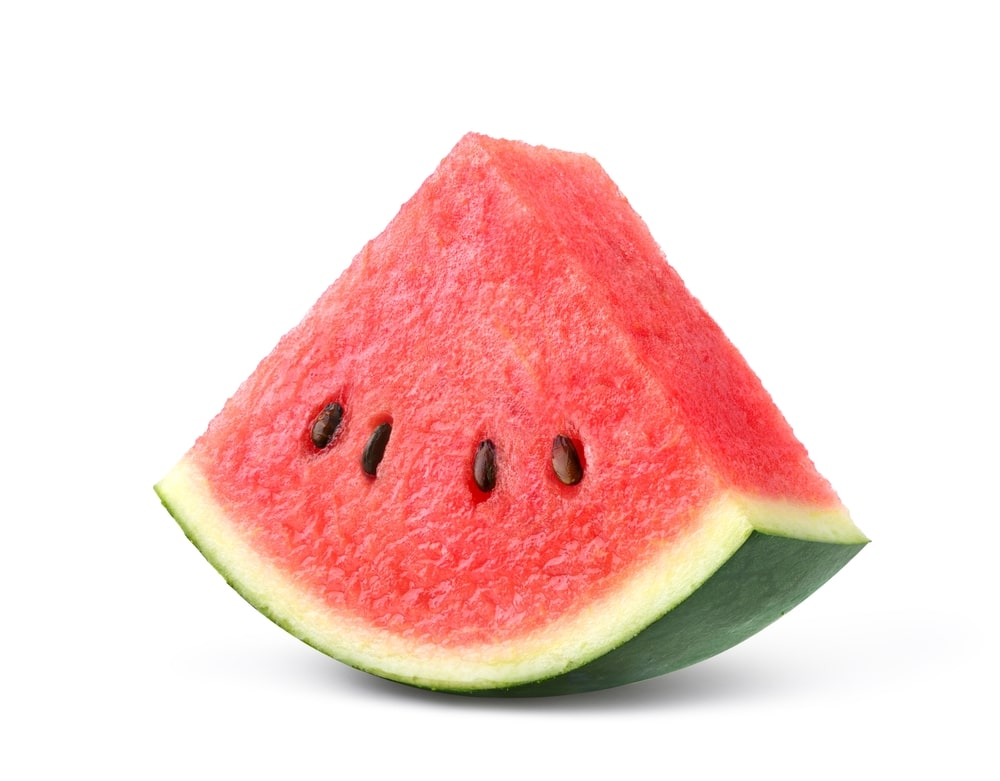 cooling foods for dogs
