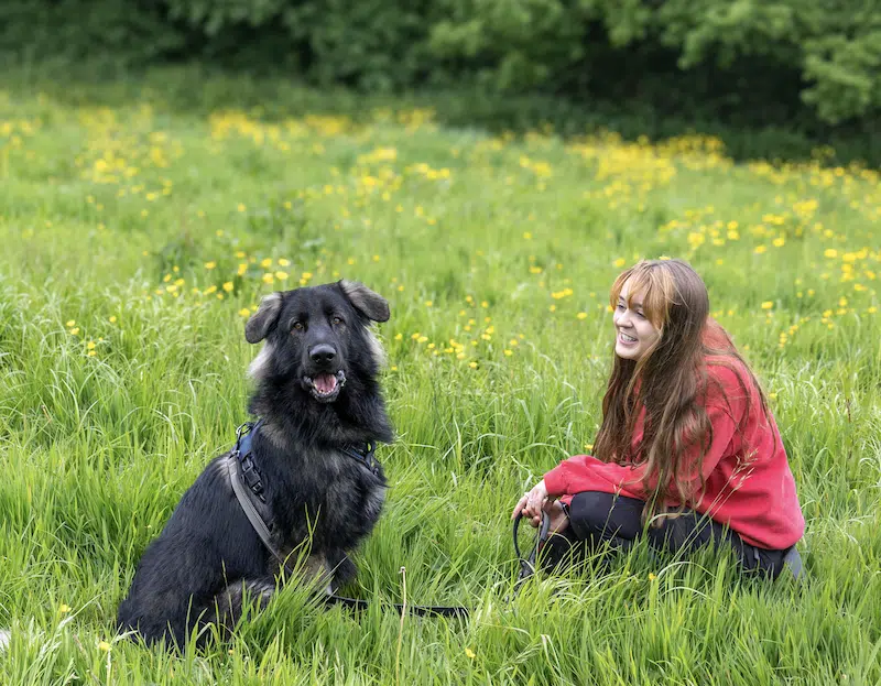 holly hedge animal sanctuary