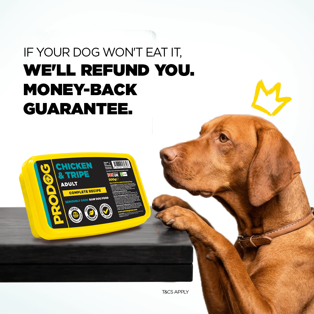 If your dog won't eat it, we'll refund you — money-back guarantee