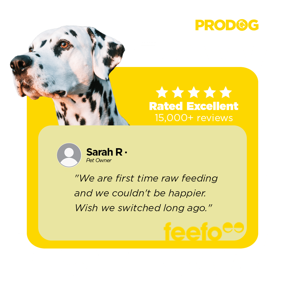 Rated excellent — Feefo verified review from Sarah R.