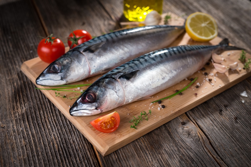 Omega 3 for Dogs: Benefits, Sources & Everything You Need to Know