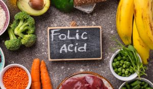 What Does Folic Acid Do for Dogs: Benefits, Sources & Deficiency