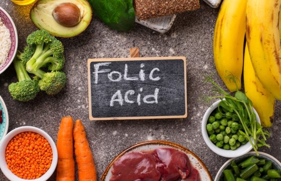 What Does Folic Acid Do for Dogs: Benefits, Sources & Deficiency