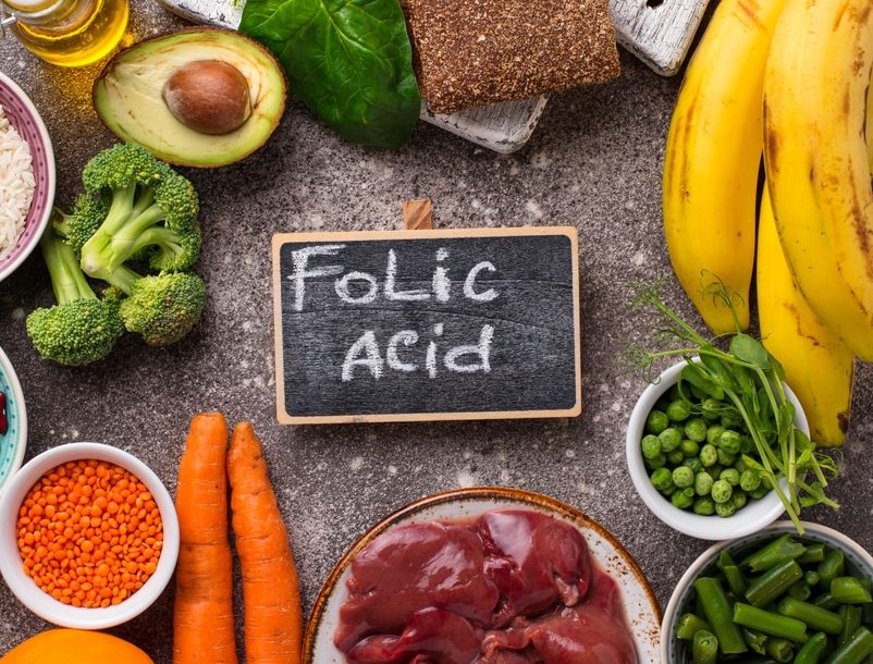 What Does Folic Acid Do for Dogs: Benefits, Sources & Deficiency