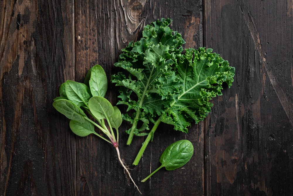 natural sources of folate for dogs